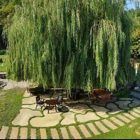La Salcia Din Padure Apartamento Alba Iulia Exterior foto