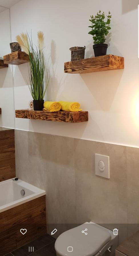 La Salcia Din Padure Apartamento Alba Iulia Exterior foto